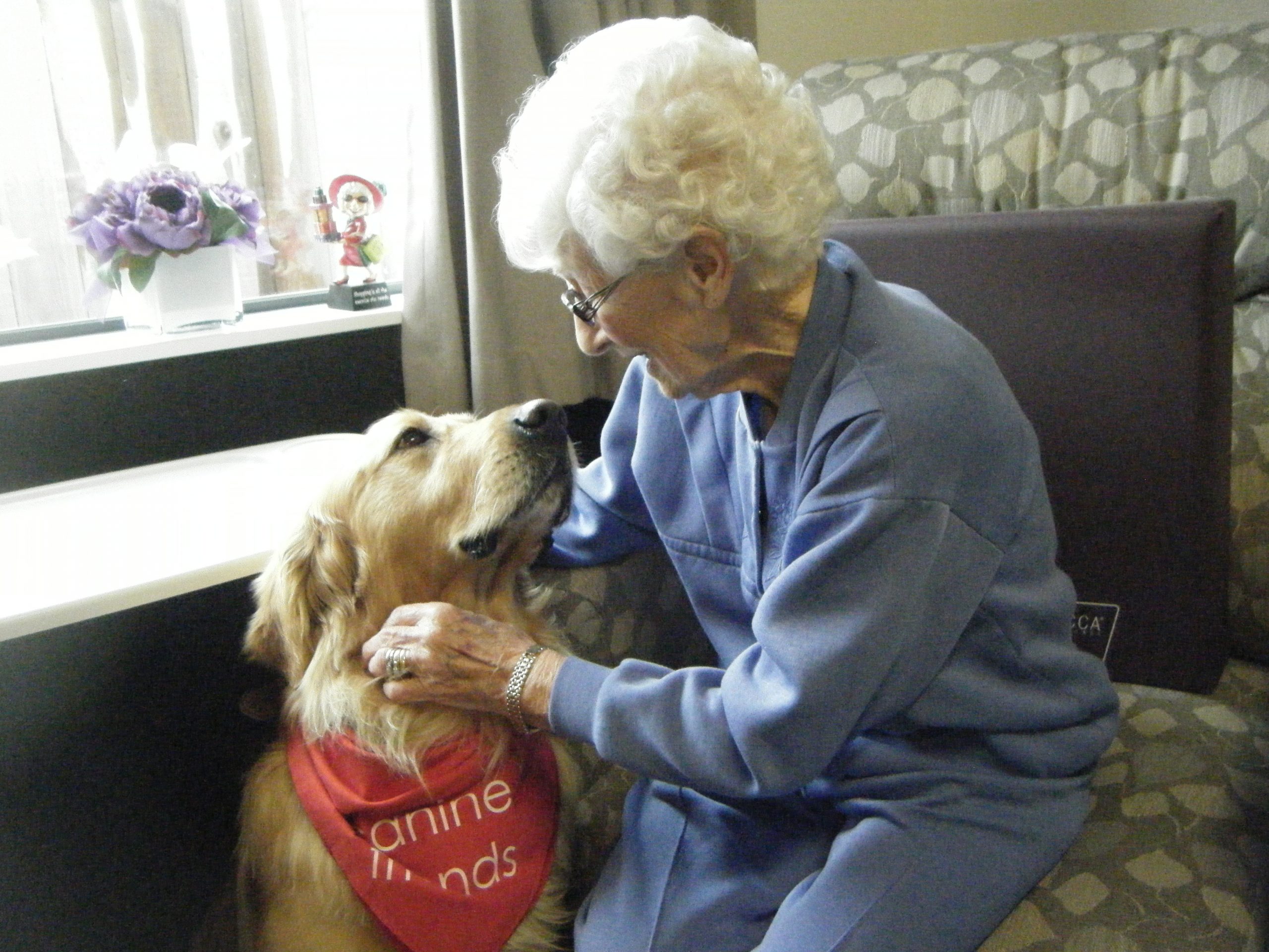 elderly pet therapy