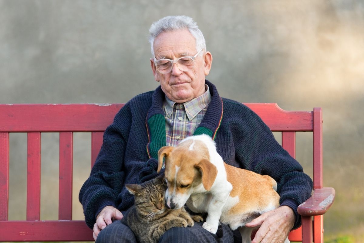 pets in aged care